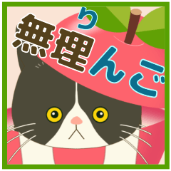 ハチワレぶーにゃんのダジャレde笑ってにゃ