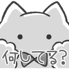 黒推しねこ(報告)