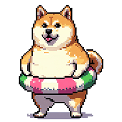 夏を迎えるふとっちょ柴犬