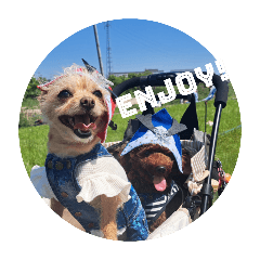 Co-channel①　こっちゃんねる