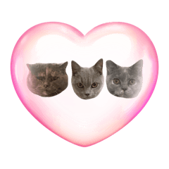 三姉妹ぶーちゃんらーちゃんうーちゃん