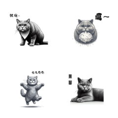 Cat Life Phrases