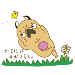 あたちパグのこうめ！！6