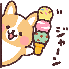 まるまるコーギーの夏休み