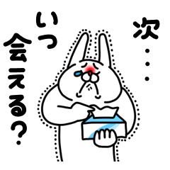 全力うさぎ大好き編