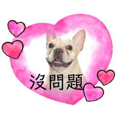 Huang Chia Chin_20250914121310