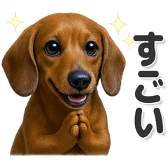 毎日使える！かわいいダックスフンド