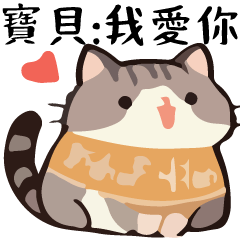 TalkingCat Ball  Baby Special