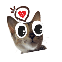 Rainnie And The Gang V1