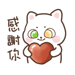 The Daily Life of a Cat !