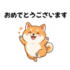 まんまる柴犬の日常