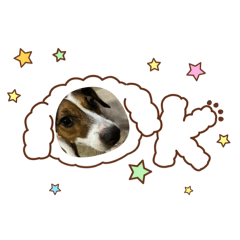 Jeng+ the dog