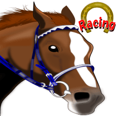 競馬が好きです その５