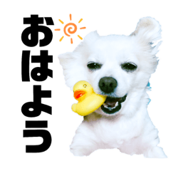 チワックス・メリーのスタンプ