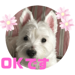 ウェスティ レオン王子とホープ王子  Vol.2