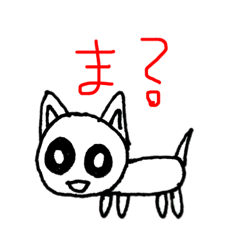 かわいいチワワ!!!