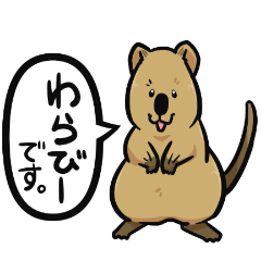 日常系クアッカワラビー