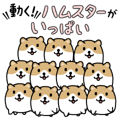 動く！ハムスターがいっぱい