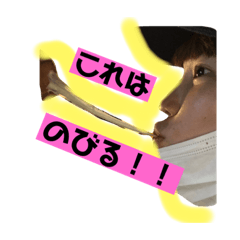 あさみんこゆづ日和