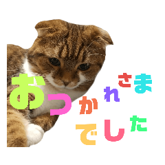 ひこ&くにゃ2020