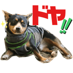 チワジャックチロさんスタンプ