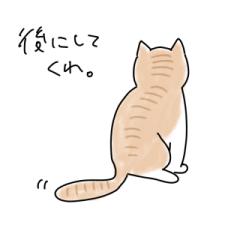 猫のれもんちゃん