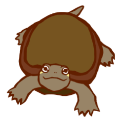 ミドリガメとゼニガメのスタンプ