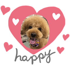 トイプーめいぷる①