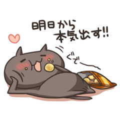 ねこのくろ　ぱーと２