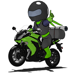 ツーリングライダー