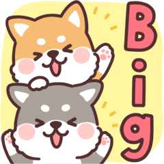 ころころ柴犬 Bigスタンプ