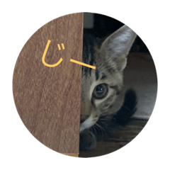 それいけパコちゃん2