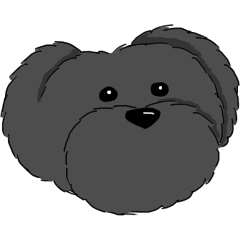 黒色　ラブリー　プードル
