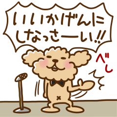 トイプーのぷう太郎 その８