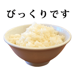 白ごはん　と　敬語