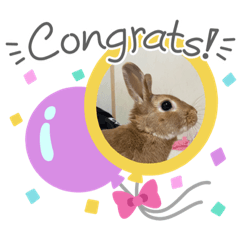 うさぎのSUNちゃんワクワクスタンプ