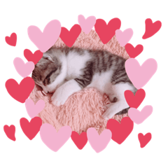 ピノりんスタンプ