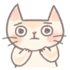 かわいい子猫 ZZINKONG