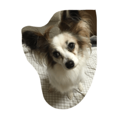 モナカスタンプ