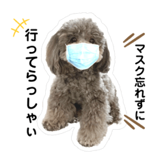 プードルSis vol.5-2