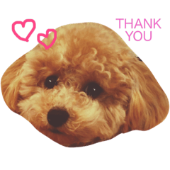 といぷーのむぎ