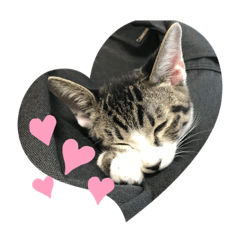 わんぱくジャック