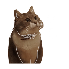 はじめましてアイボンです