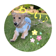 ダックスなテオピー