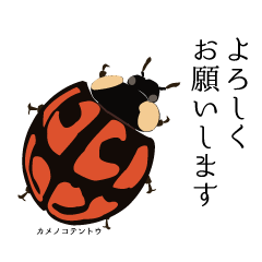 楽しい昆虫採集スタンプ１