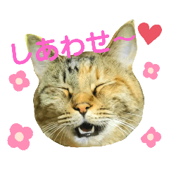 くるみと桃の使いやすい日常スタンプ①