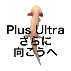 ウパのみずごろう2