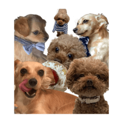 うーたんくんとあこちゃん ૮ ˙ ﻌ˙ ა