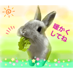 うさぎのモモ♡冬・新年ご挨拶スタンプ2023