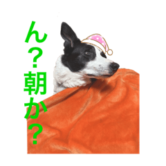 れっくん１２０８